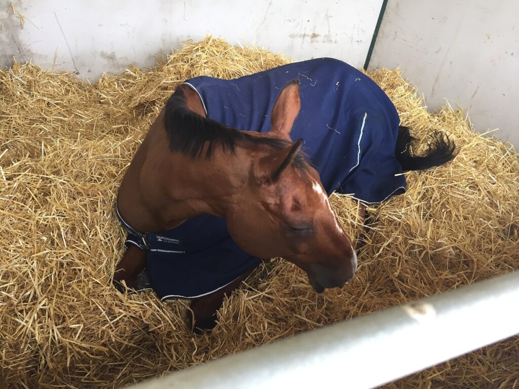 First time with a blanket